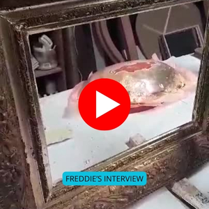 Interviews with Former Students: Their Journey and Success Stories 16 study abroad italy former students interviews - freddie